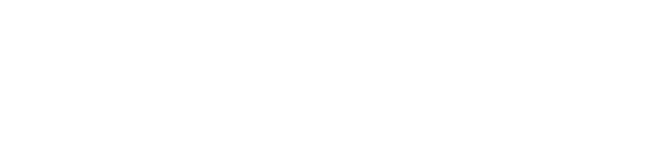 SALDO33